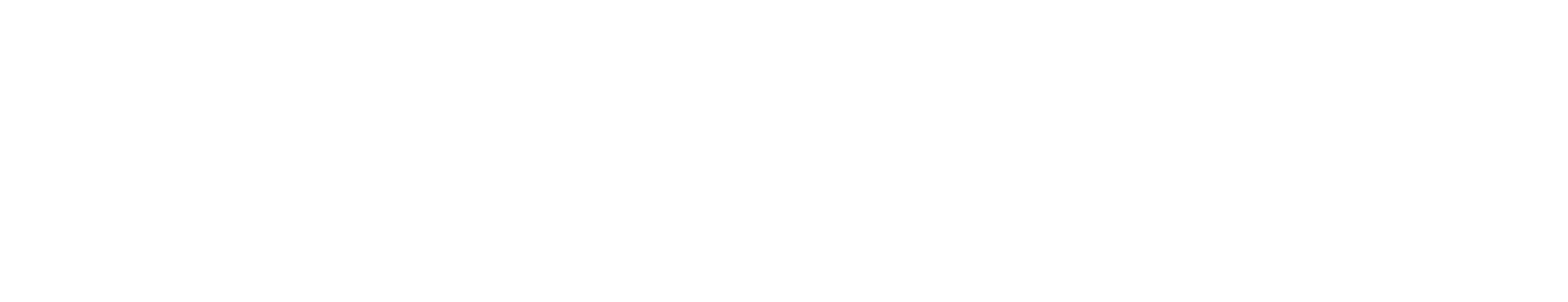 Platinum Payment Systems